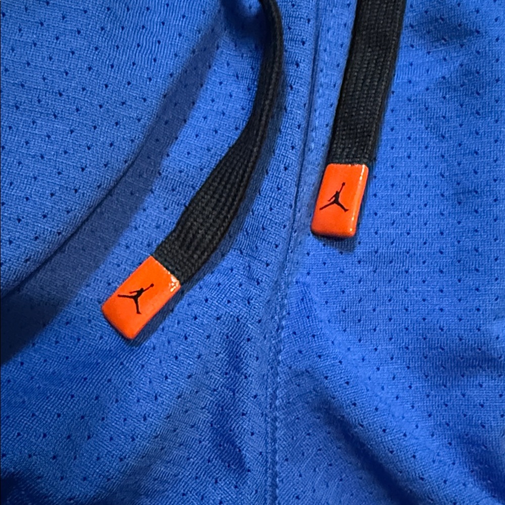 Air Jordan Mesh Shorts View 2